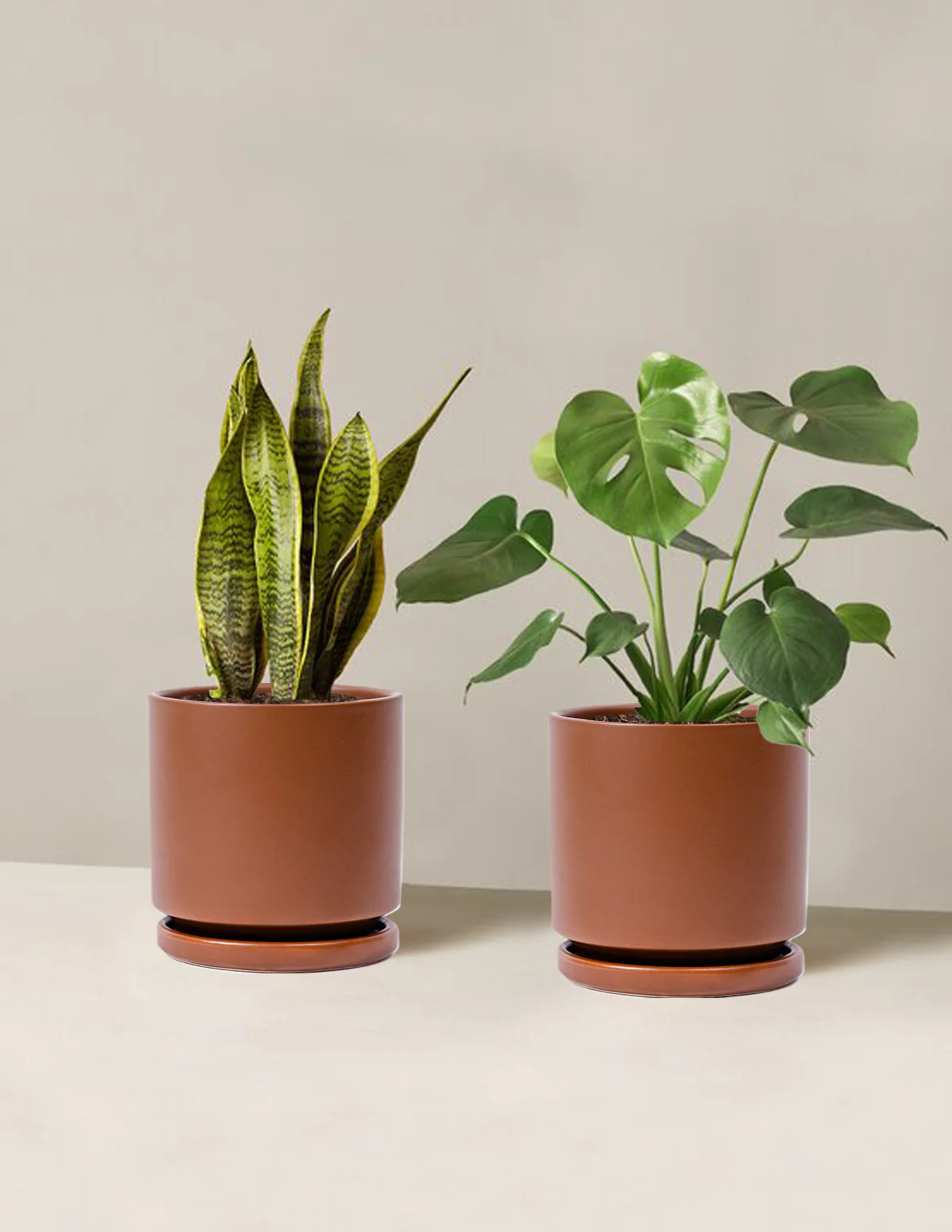 Best Sellers Duo - Image 15