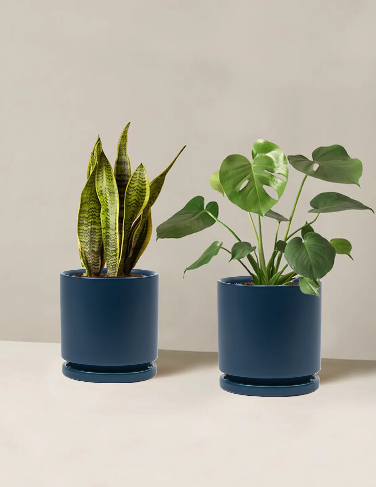 Best Sellers Duo - Image 27