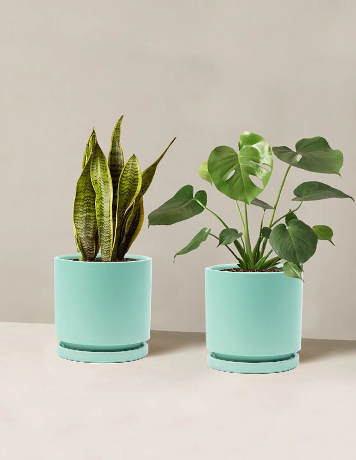 Best Sellers Duo - Image 3