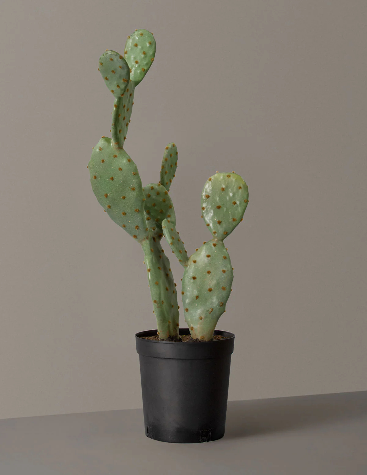 Artificial Cactus - Image 3