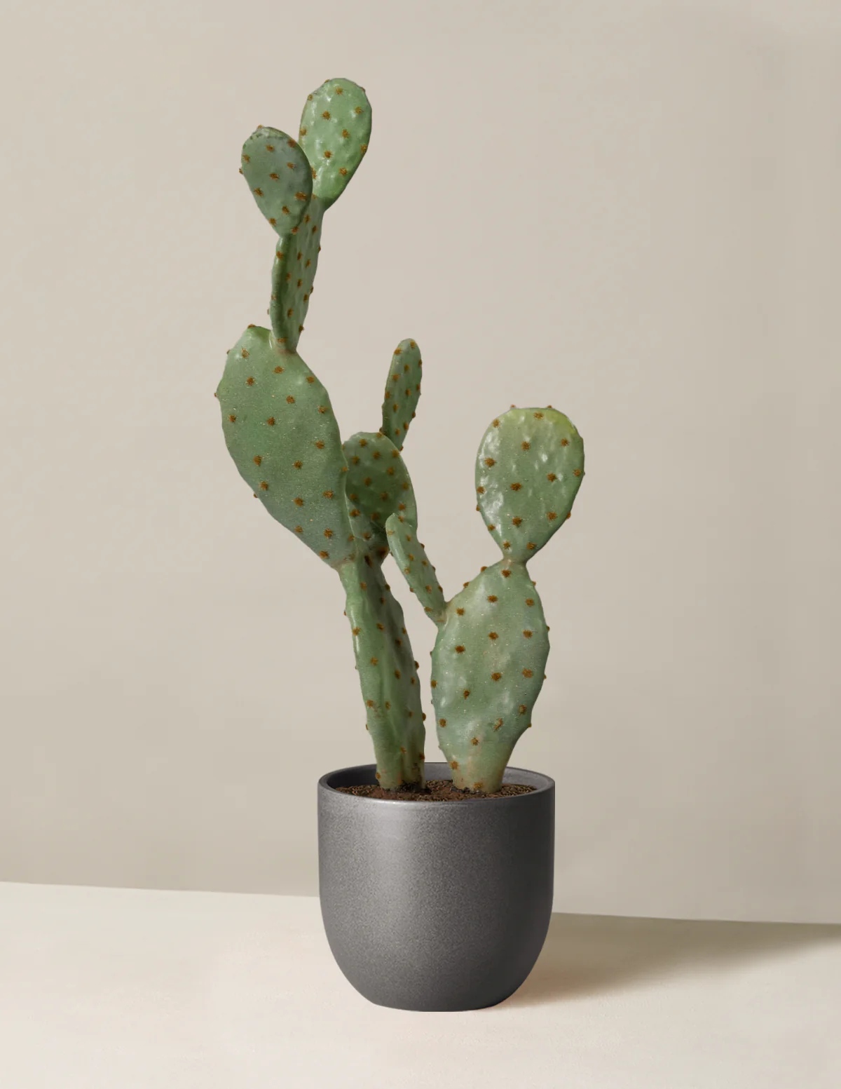Artificial Cactus - Image 4