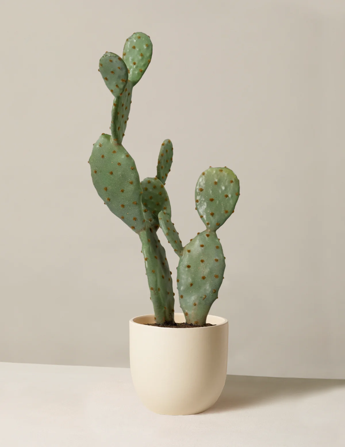 Artificial Cactus - Image 5
