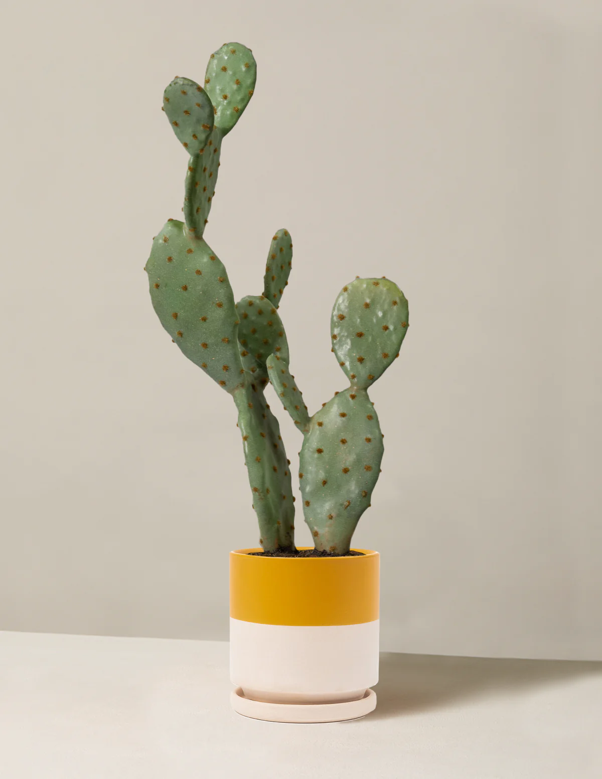 Artificial Cactus - Image 8