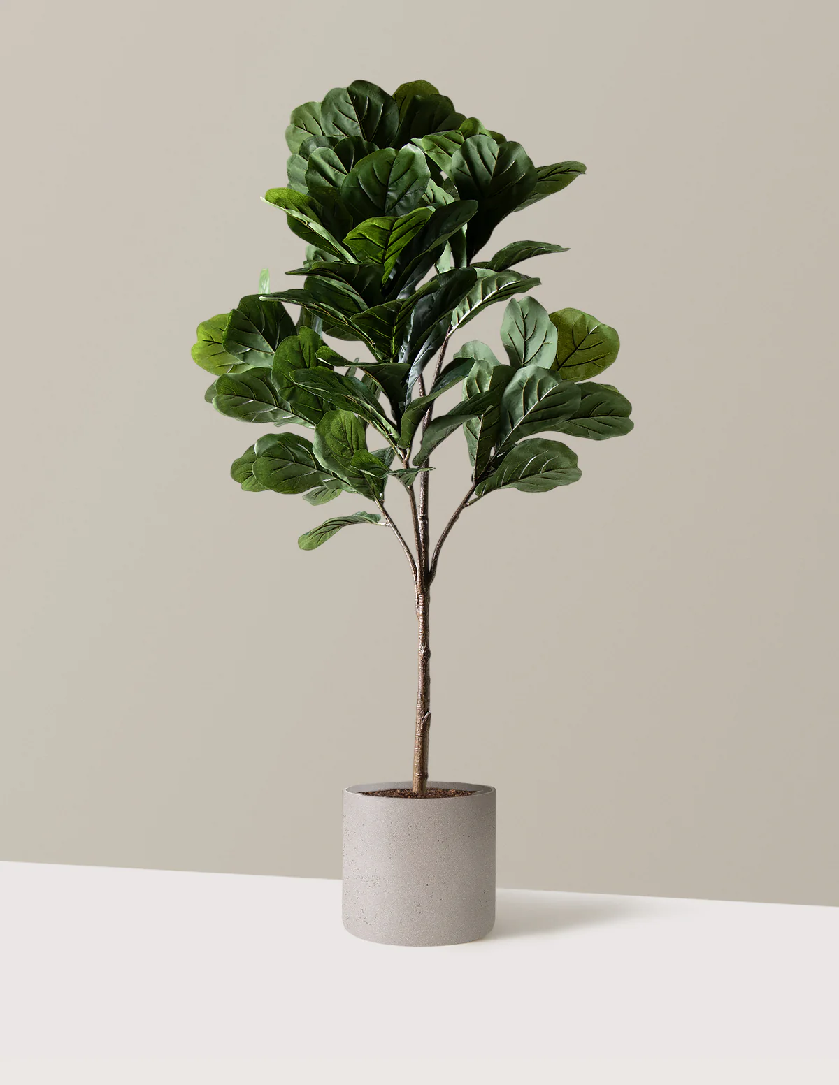 Artificial Fiddle Leaf Fig Tree - Image 22