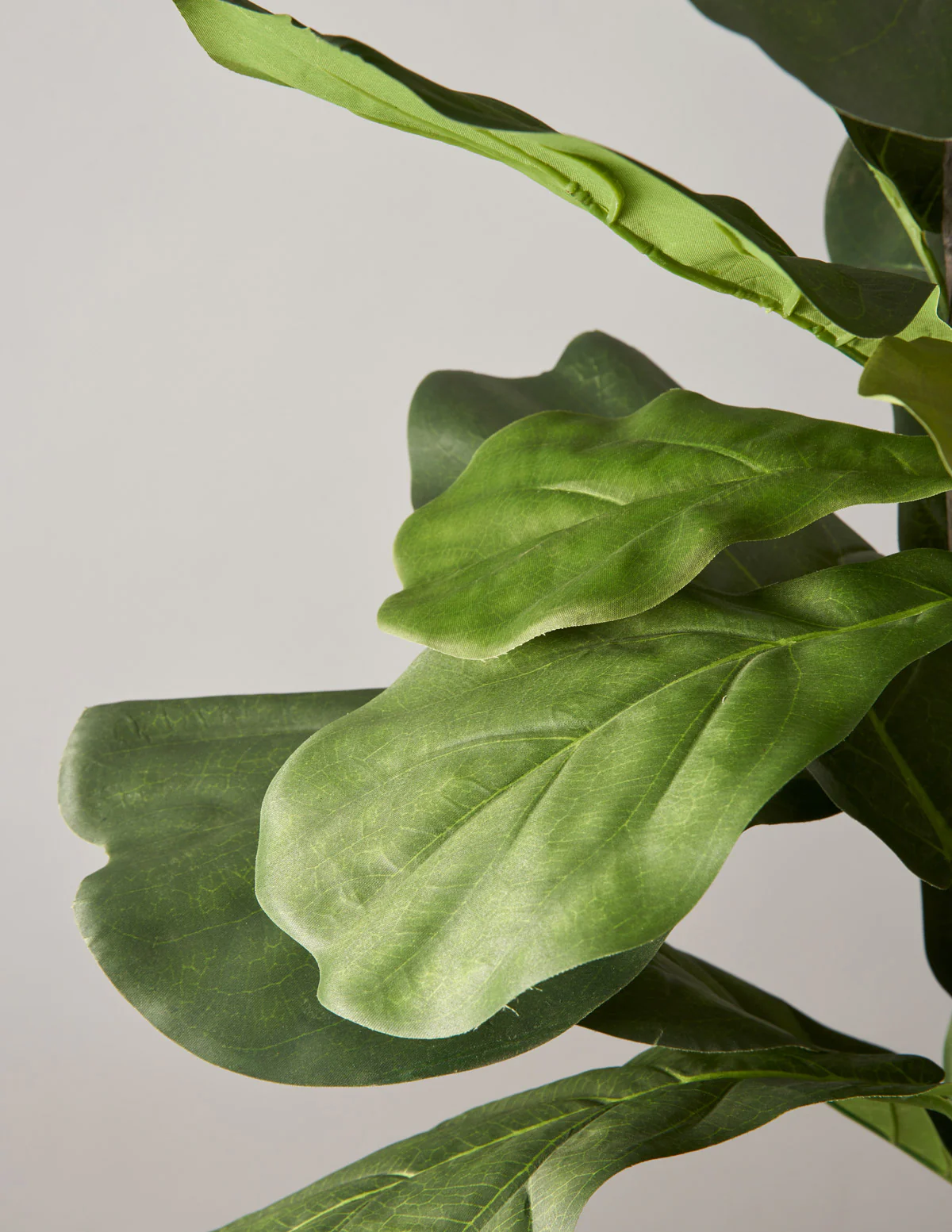 Artificial Fiddle Leaf Fig Tree - Image 5
