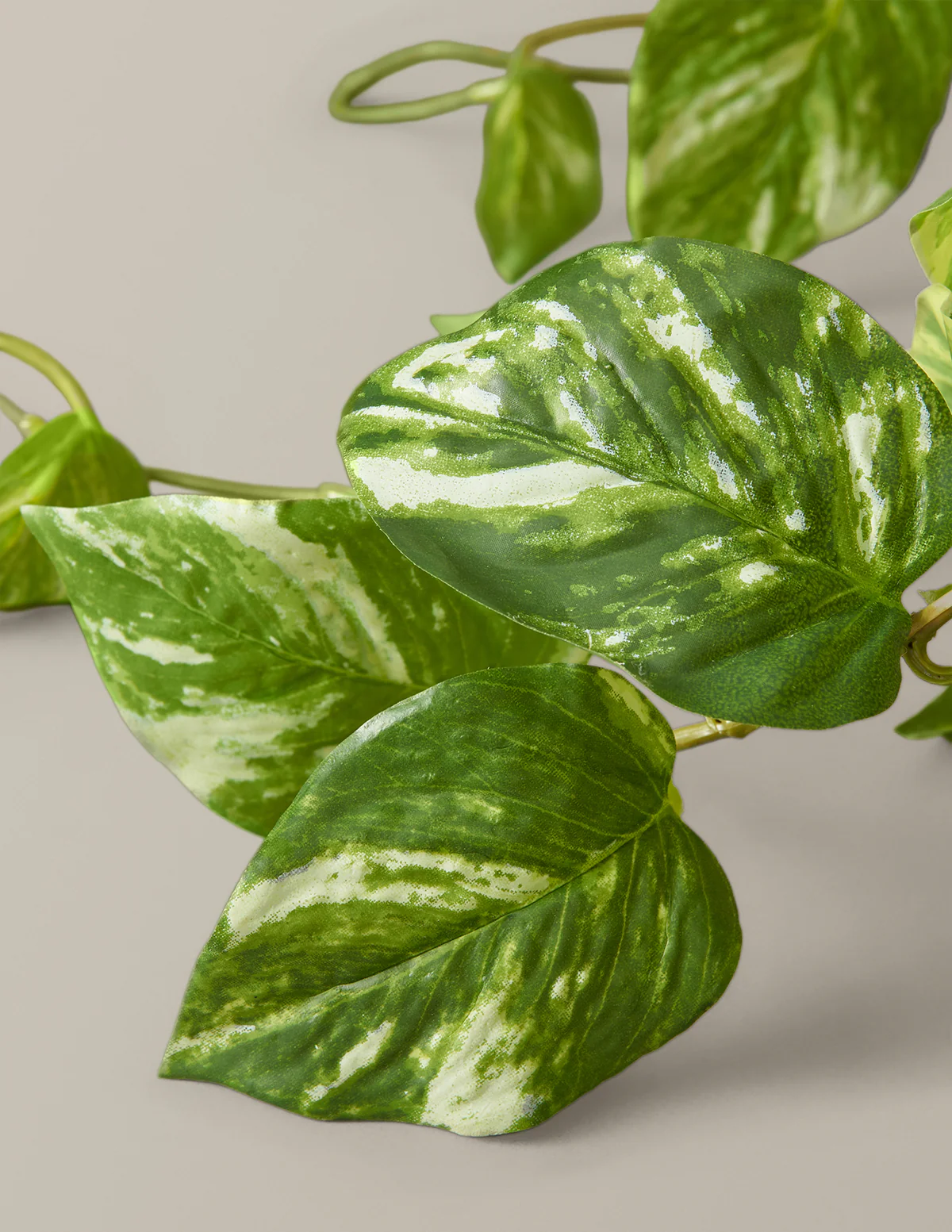Artificial Pothos Plant - Image 3