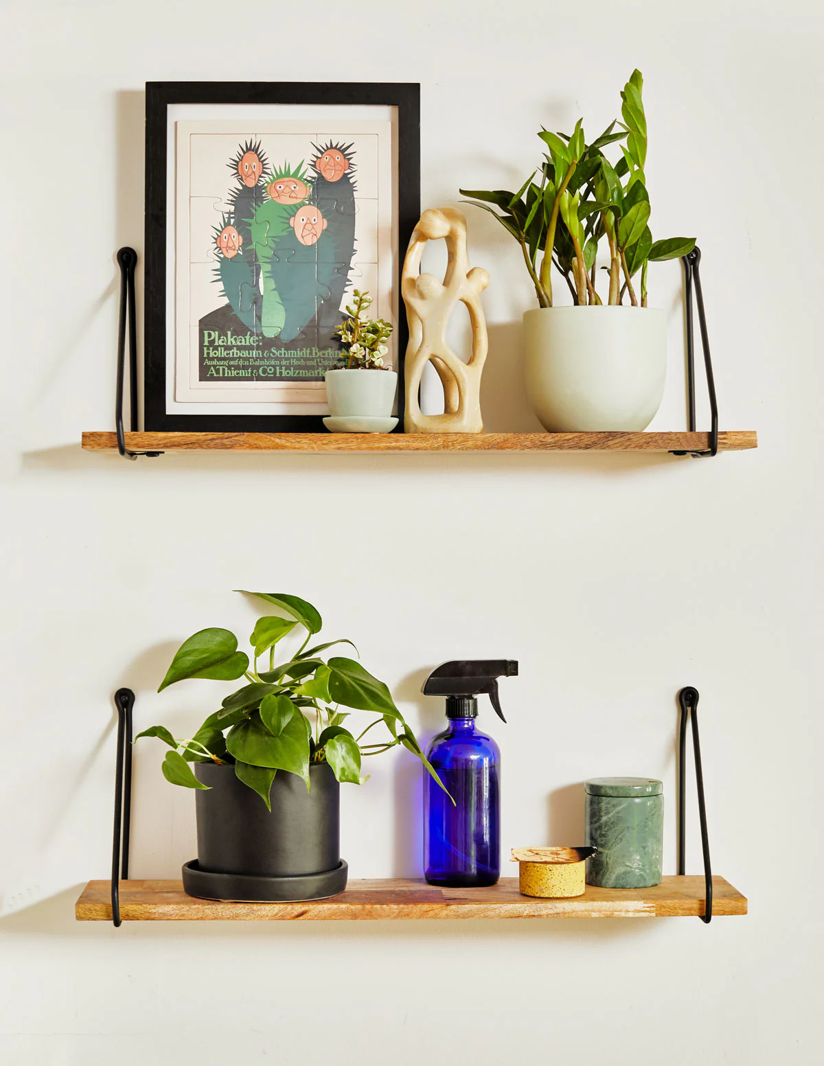 Heartleaf Philodendron - Image 12