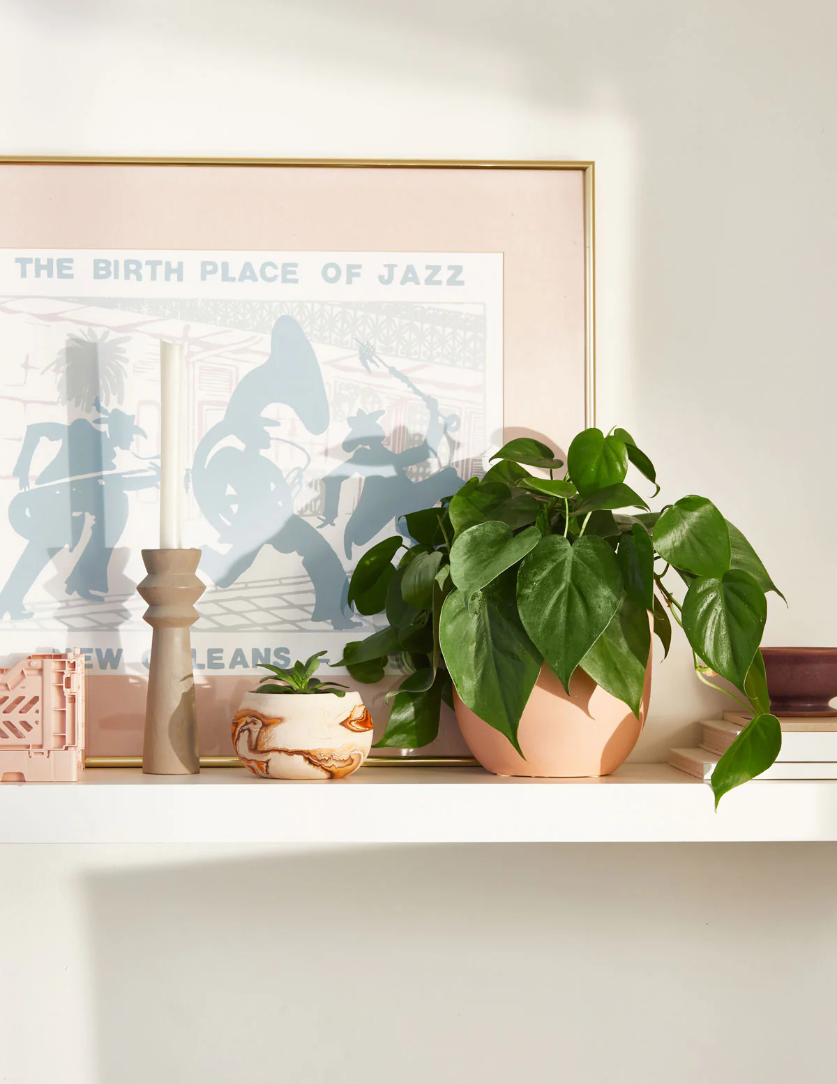 Heartleaf Philodendron - Image 4