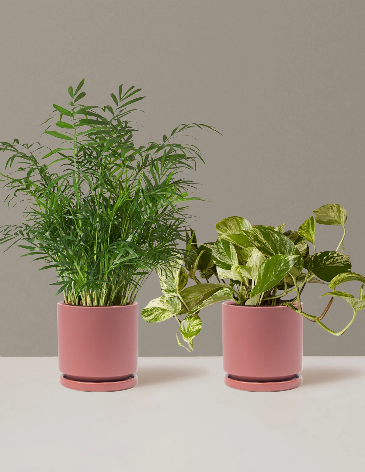 Housewarming Duo - Image 18