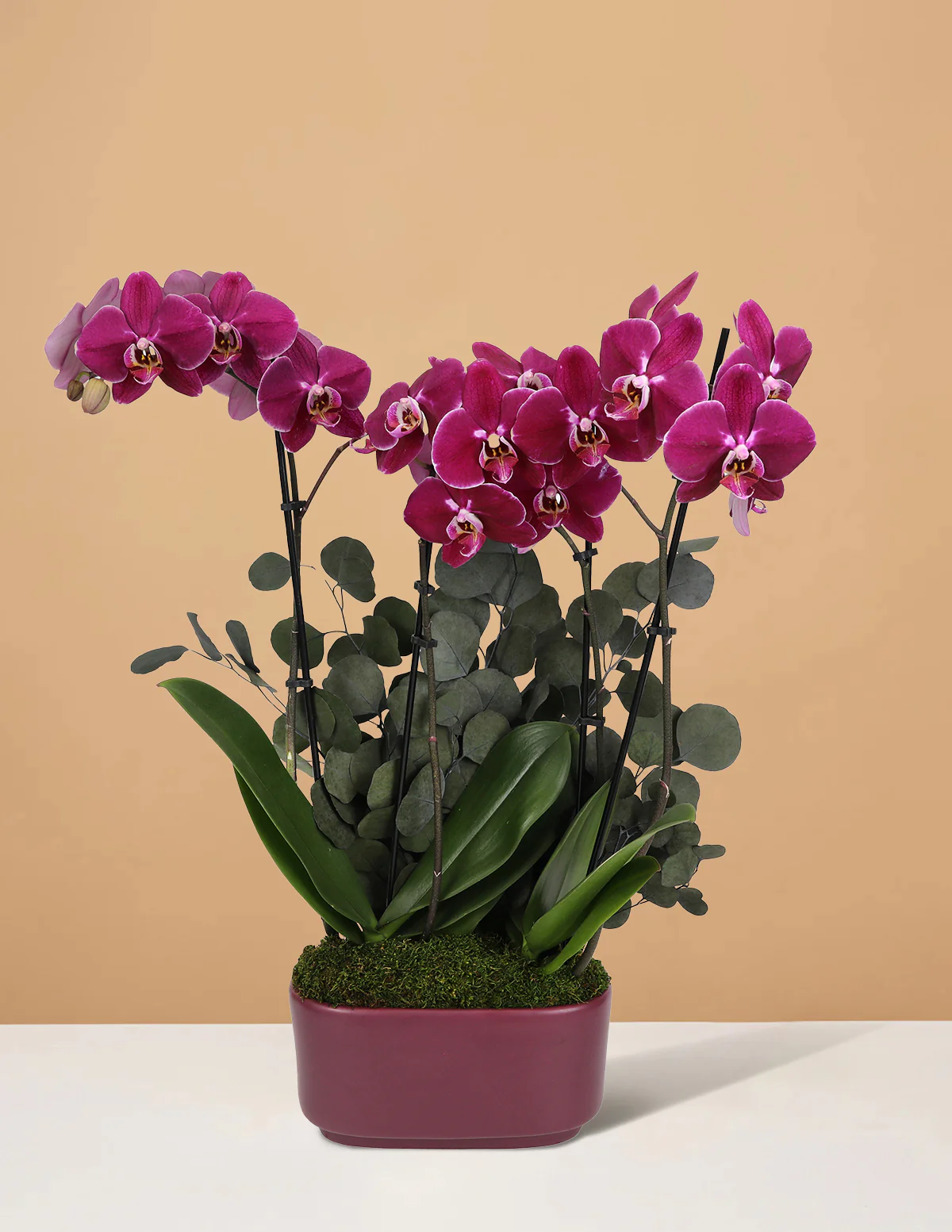 Large Double Orchid - Image 17