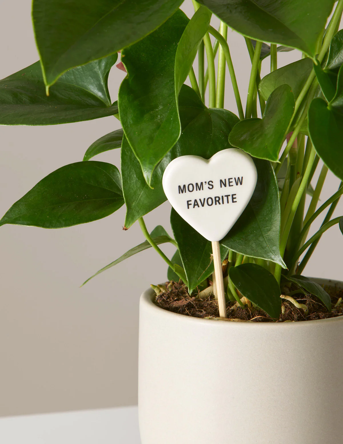 Ceramic Gift Message Pops - Image 11