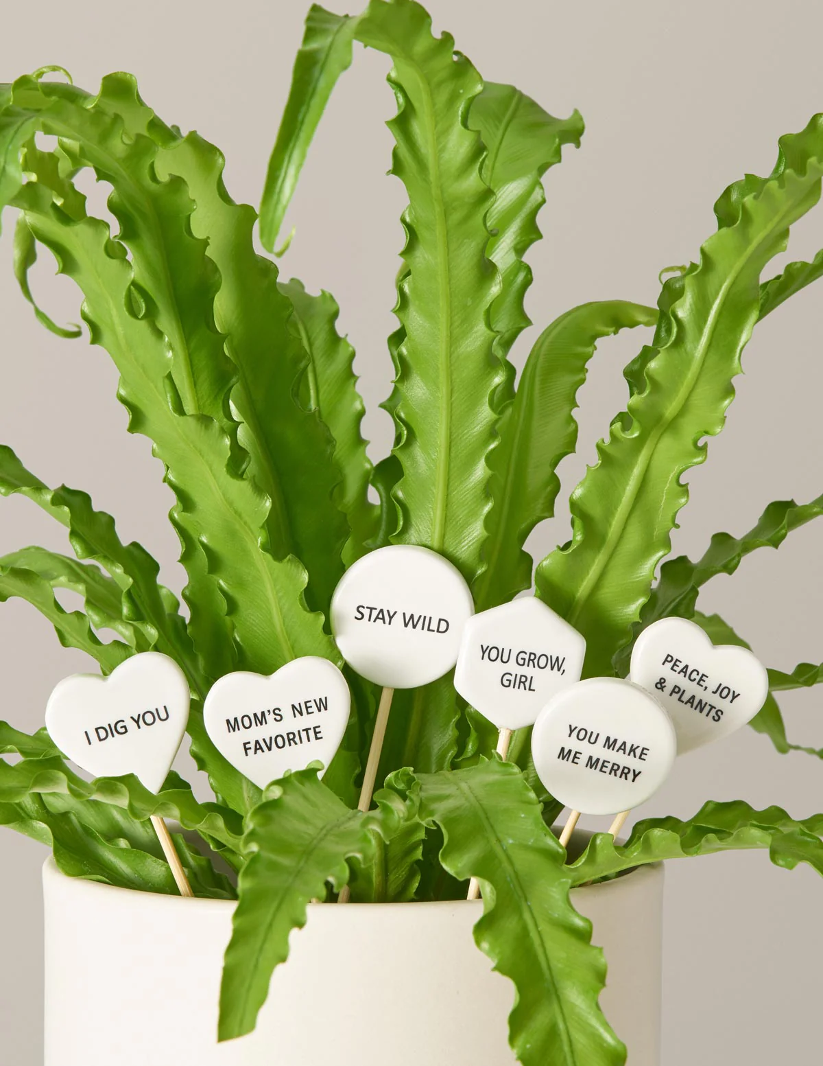 Ceramic Gift Message Pops - Image 3