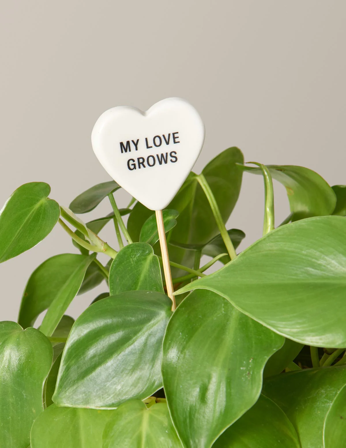 Ceramic Gift Message Pops - Image 7