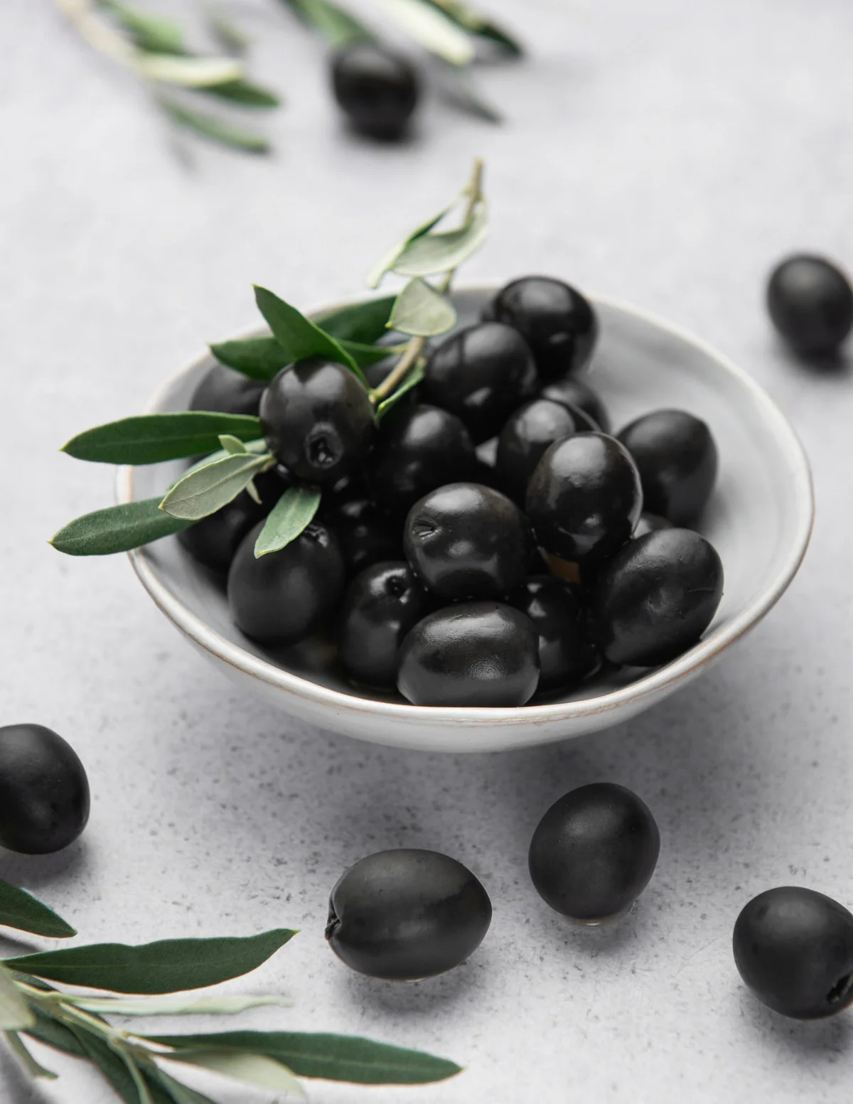 Mission Olive Tree - Image 2