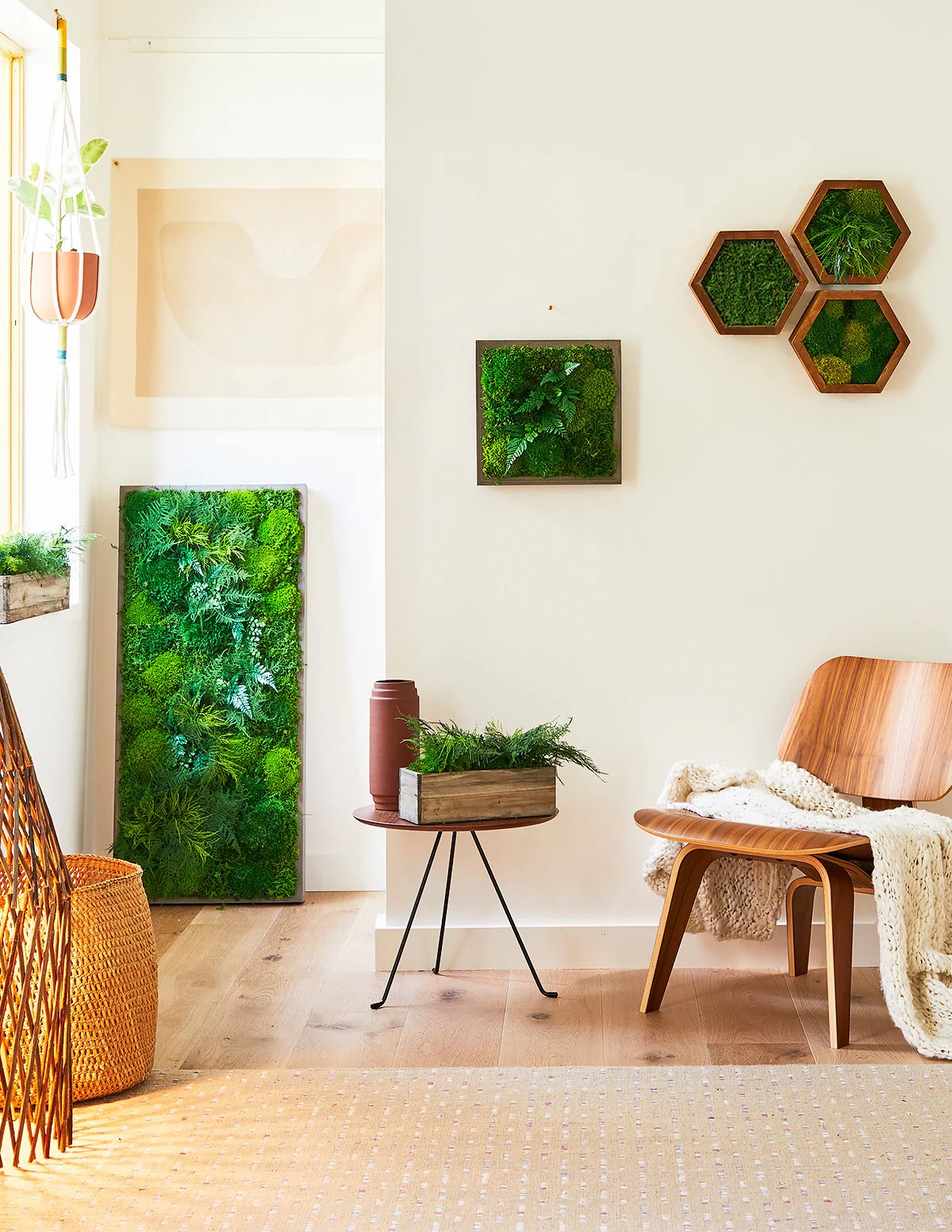 Large Preserved Living Wall - Image 4