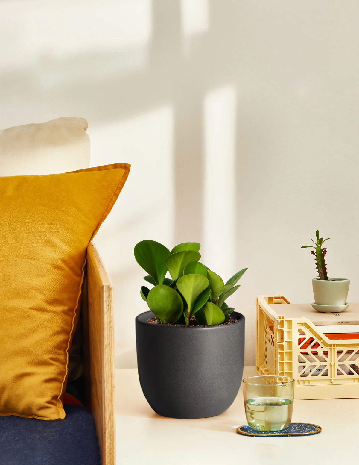 Small Grant Ceramic Planter Duo - Image 4
