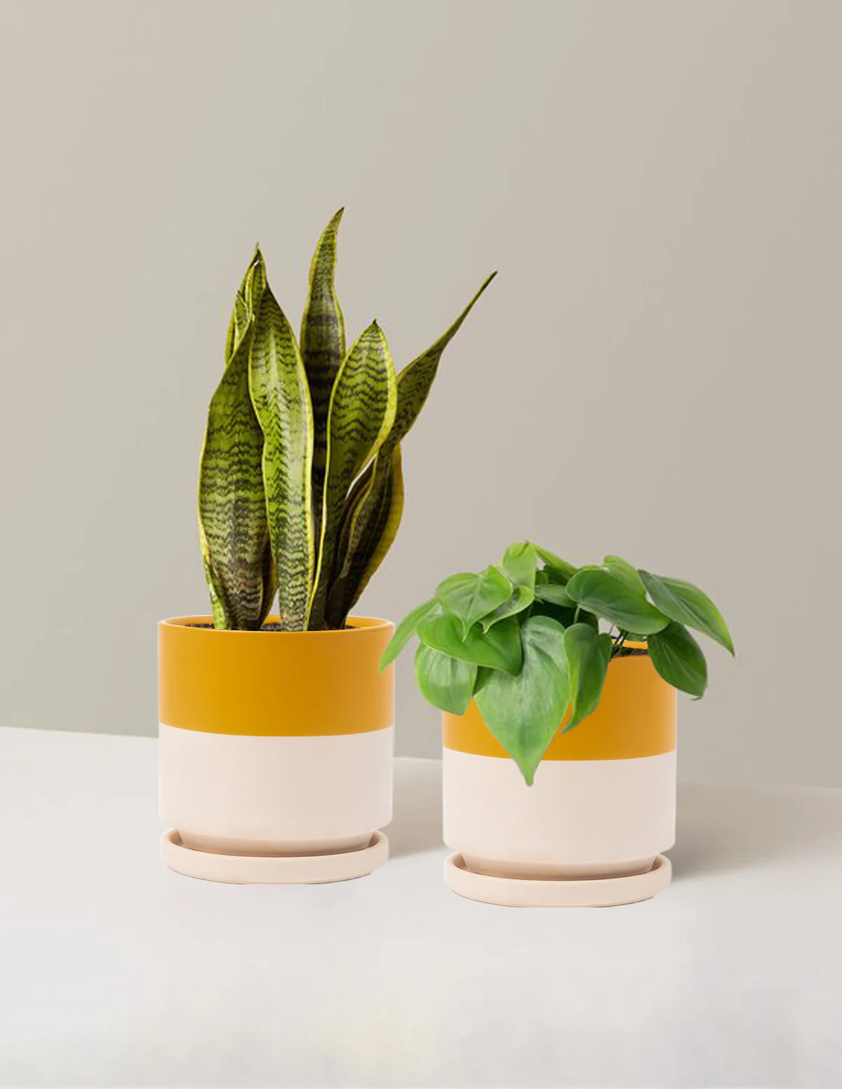 Living Room Duo - Image 11