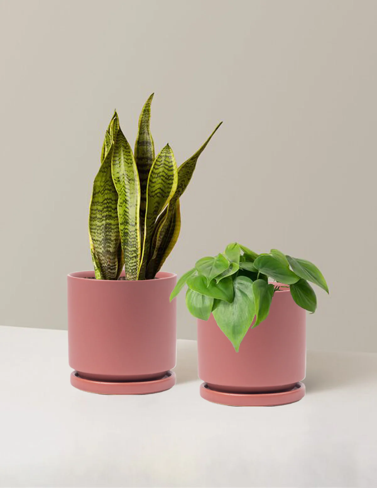 Living Room Duo - Image 19