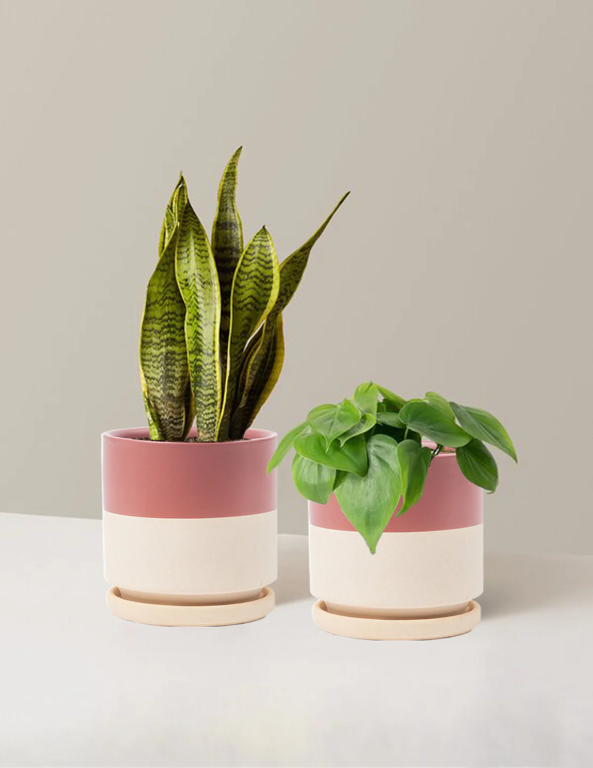 Living Room Duo - Image 21