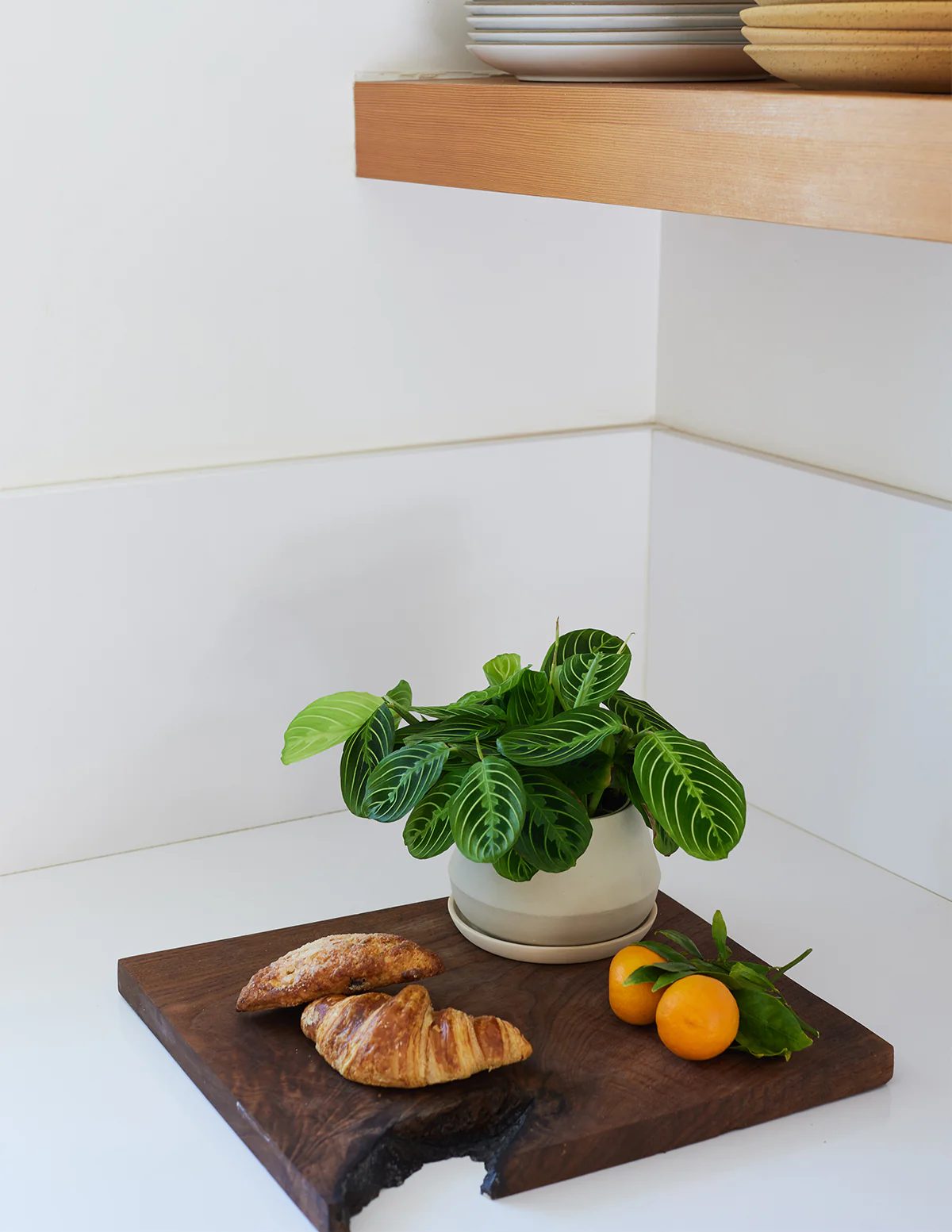 The Rancho Planter - Image 9